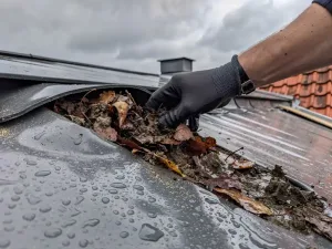 Dakspecialist reinigt verstopte platdakafvoer vol natte bladeren en puin, met zichtbaar vochtig dakmembraan op bewolkte dag.