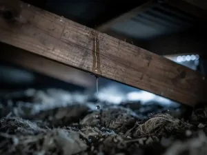 Waterdruppel die langs een houten dakspant loopt en neerkomt op stoffige dakisolatie in een donkere zolder.