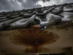 Verweerde dakpannen met donkere watervlekken en een scheur waaruit regenwater lekt, met een vochtig bruin plafond eronder.