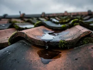 Verweerde terracotta dakpan met donkere watervlek en vallende waterdruppel, omringd door bemosterde pannen onder bewolkte lucht.
