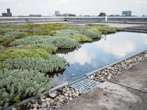 Stadsrooftop met sedum begroeide dakbedekking en waterretentielaag, regenwater spiegelt bewolkte lucht, grindrand en drainagedetails zichtbaar.