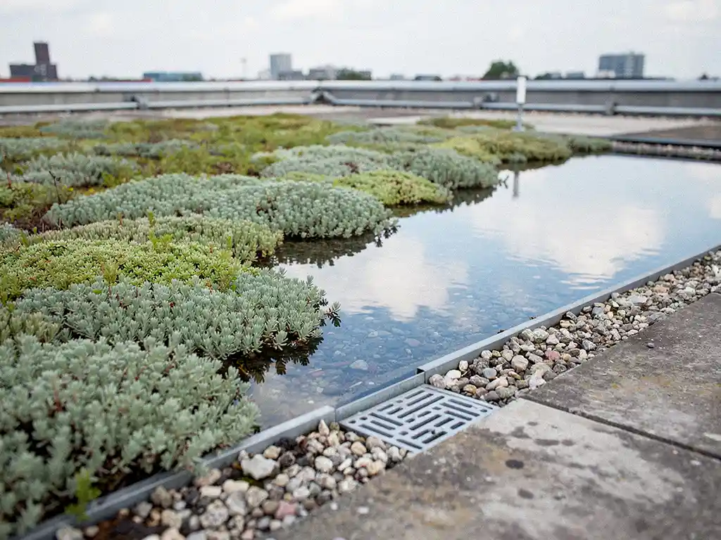 Stadsrooftop met sedum begroeide dakbedekking en waterretentielaag, regenwater spiegelt bewolkte lucht, grindrand en drainagedetails zichtbaar.