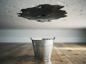 Donkere watervlek op wit plafond met druipend water opgevangen in metalen emmer op houten vloer.