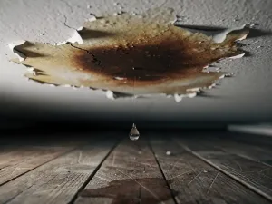 Waterlek op wit plafond met opbollende verf, afbladderende randen en een vallende druppel richting verweerde houten vloer.