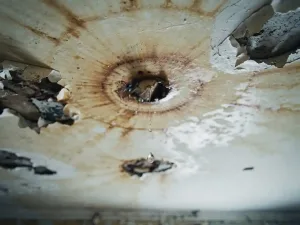 Vochtschade aan een plafond met bruine waterringen, afbladderende pleister en een vallende waterdruppel.