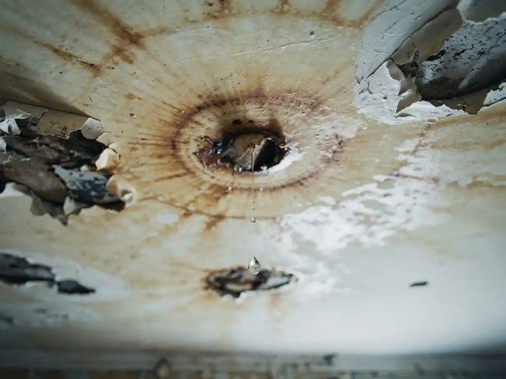 Vochtschade aan een plafond met bruine waterringen, afbladderende pleister en een vallende waterdruppel.