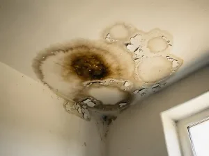 Watervlek met donkere vochtringen op een wit binnenplafond bij een hoek, met afbladderende verf en beschadigd pleisterwerk.